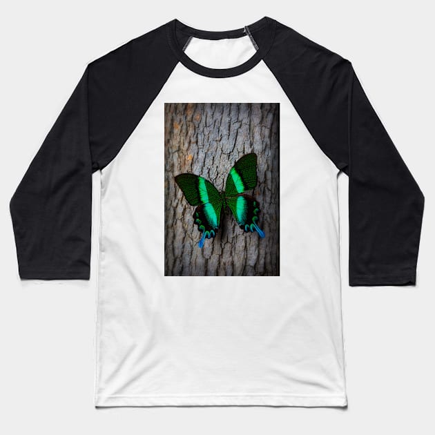 Green Blue Butterfly Resting On Tree Baseball T-Shirt by photogarry